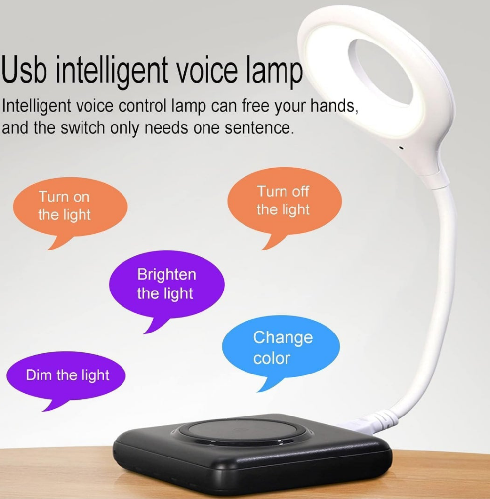 Voice control light