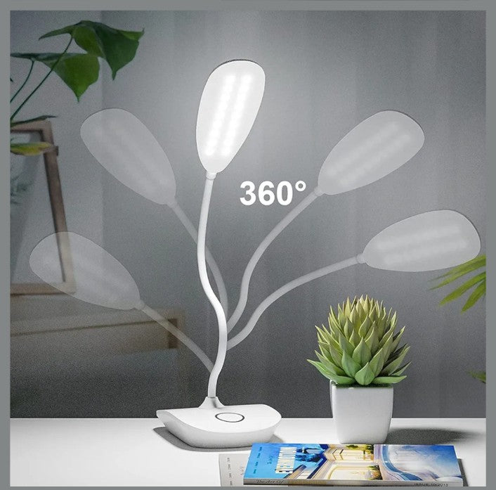 Study Lamp