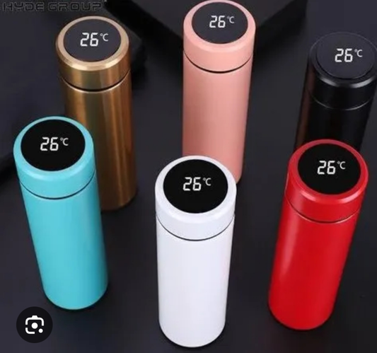 Temperature bottle