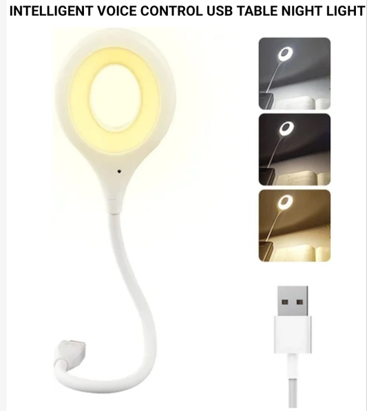 Intelligent Voice Control Lamp