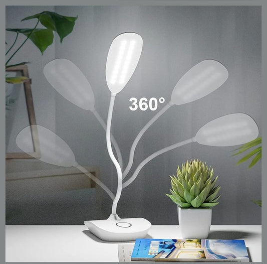 Study Lamp